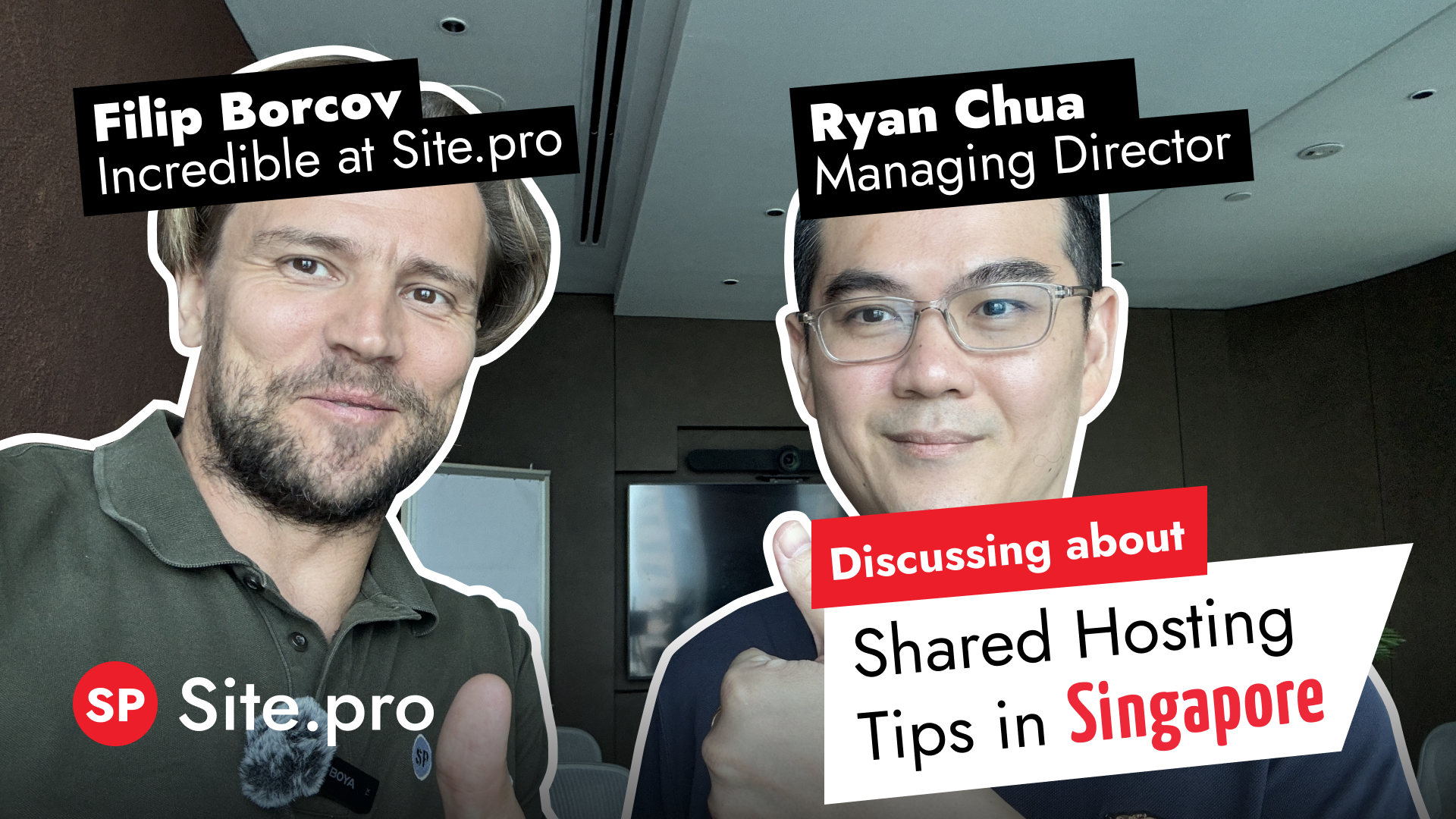 Singapore: Shared Hosting and Domain Market Sector Introduction